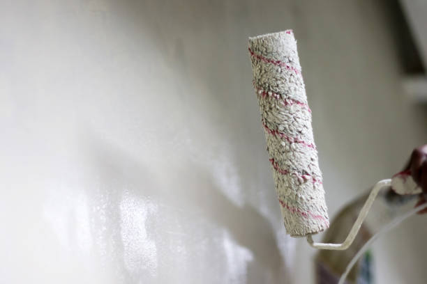 istock a canvas roller brush for painting walls 1133936396