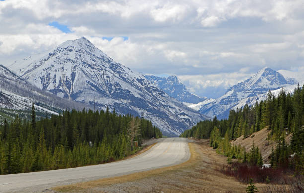 istock The road on Vermilion Pass 1133937381