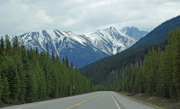 istock The road and Kootenay Forest 1133937391