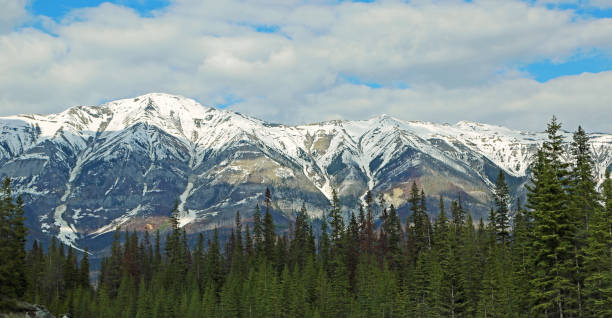 istock The summit and the forest 1133937402