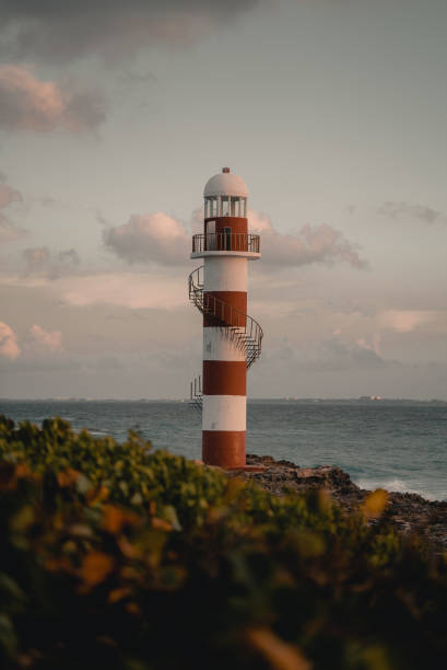 istock Lighthouse by the sea on a field with flowers 1133940367
