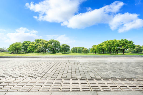 istock Empty square floor and green forest in the city park 1133941509