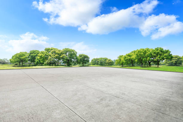 istock Empty square floor and green forest in the city park 1133941556