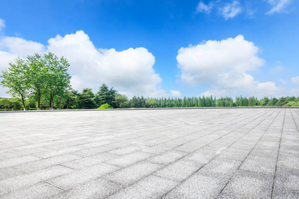 istock Empty square floor and green forest in the city park 1133941587