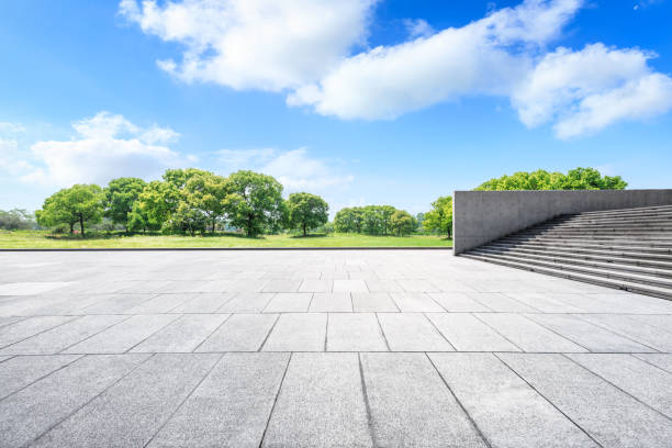 istock Empty square floor and green forest in the city park 1133941619
