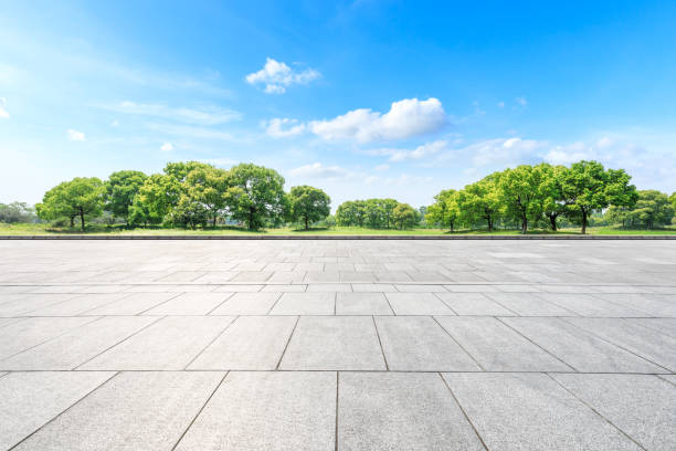 istock Empty square floor and green forest in the city park 1133941646