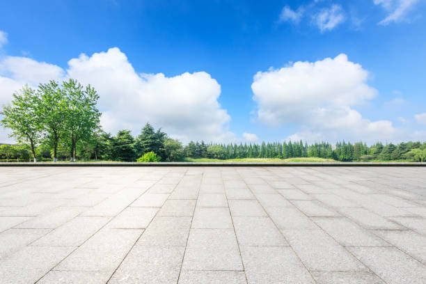 istock Empty square floor and green forest in the city park 1133941647