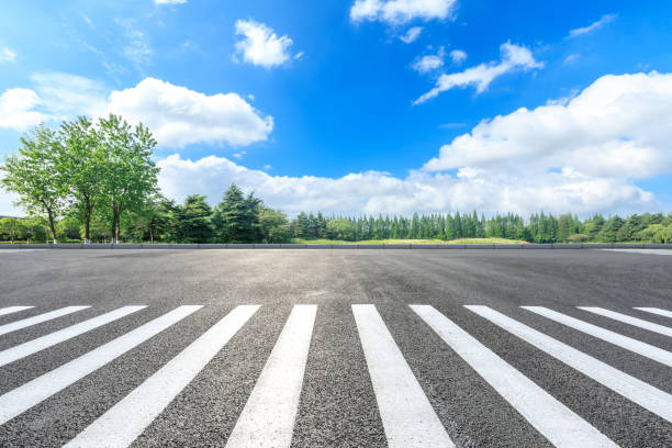 istock Zebra crossing road ground and green forest landscape in summer 1133941681