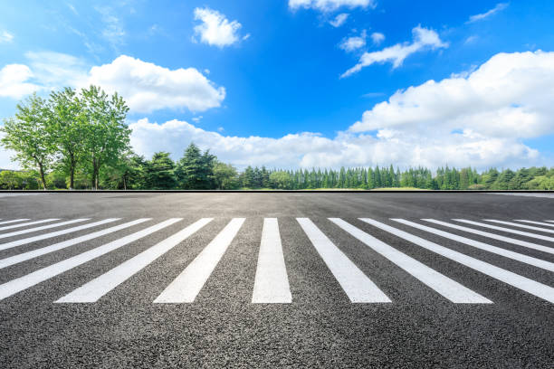 istock Zebra crossing road ground and green forest landscape in summer 1133941889