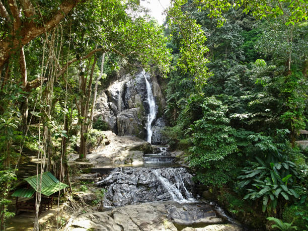 istock Beautiful high waterfall flows down from the rocks in a tropical 1133947082