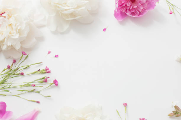 istock summer flowers on white paper background 1133948212