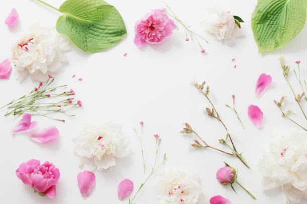 istock summer flowers on white paper background 1133948219