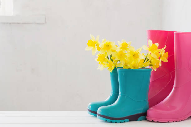 istock rubber boots and spring flowers on white background 1133948246