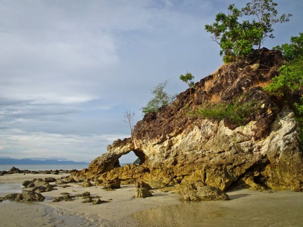 istock Shell rocks with arches by the sea, Thailand. 1133950364