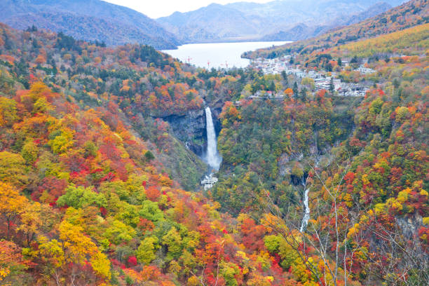 озеро чузенджи и гора нантай осенью. - tree area japanese fall foliage japanese maple autumn стоковые фото и изображения