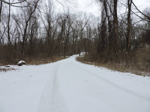 istock Road covered in snow with tire tracks 1133953400