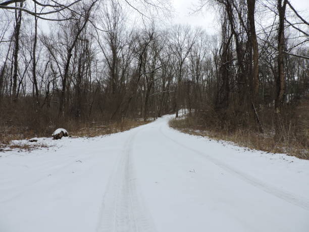 istock Road covered in snow with tire tracks 1133953402