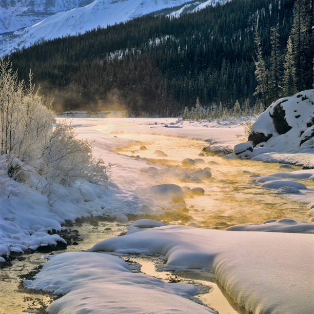 istock Banff National Park in Alberta Canada 1133955028