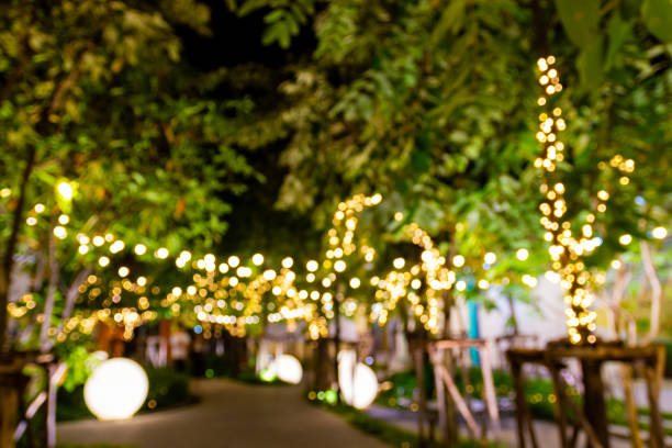 istock Blurred image Decorative outdoor string lights hanging on tree in the garden at night 1133958285