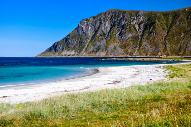 istock Beach in Lofoten 1133958387