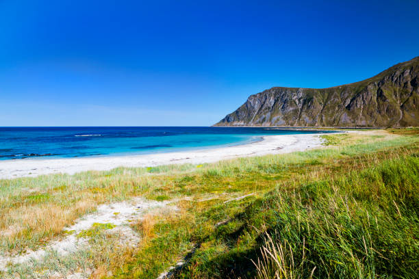 istock Beach in Lofoten 1133958392