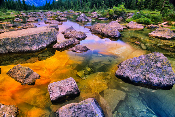 istock Banff National Park in Alberta Canada 1133959373