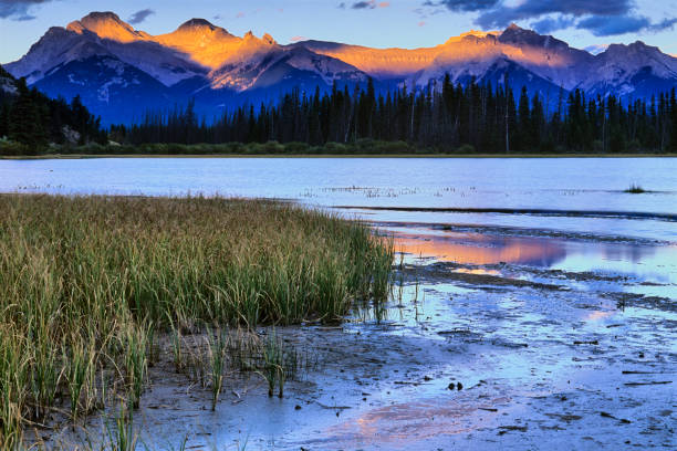 istock Banff National Park in Alberta Canada 1133960003