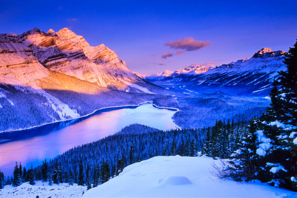 invierno en el parque nacional banff en alberta, canadá - dawn mountain range mountain canadian rockies fotografías e imágenes de stock