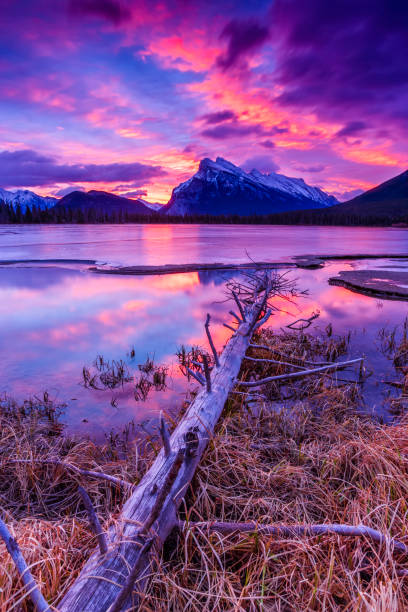 istock Winter in Banff National Park in Alberta Canada 1133961190