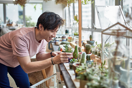 Smiling owner looking at succulent plants. Young man is working at greenhouse. He is wearing casuals.