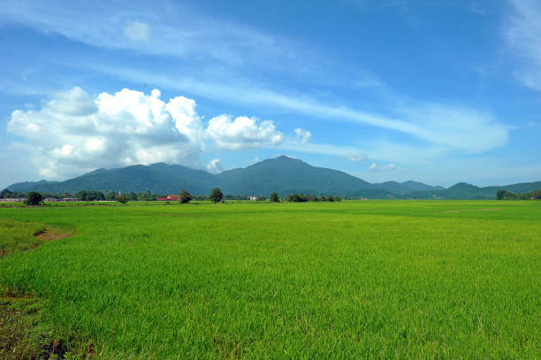 Gunung Raya 30+ Gunung Raya Stock Photos, Pictures & Royalty-Free Images - iStock