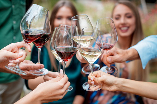 Group of female friends toasting with wine