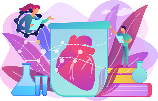 Scientists growing big heart in test tube in laboratory. Lab-grown organs, bioartificial organs and artificial organ concept on white background. Bright vibrant violet vector isolated illustration