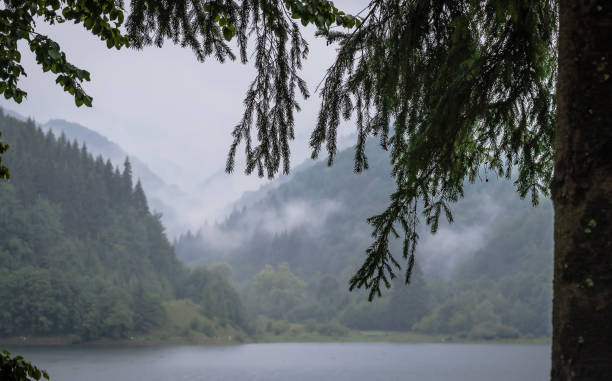 istock Summer Lake in the Carpathians 1133966911