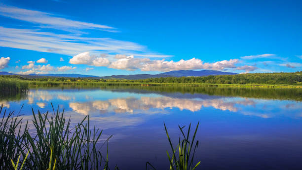 istock Summer Lake in the Carpathians 1133967024