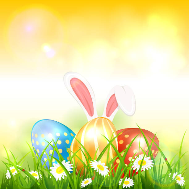 illustrazioni stock, clip art, cartoni animati e icone di tendenza di sfondo pasquale arancione con uova in erba e coniglio - eggs animal egg gold light