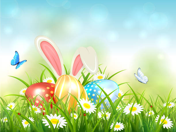 blauer hintergrund mit kaninchen und ostereiern in grass - ladybug nature spring drop stock-grafiken, -clipart, -cartoons und -symbole