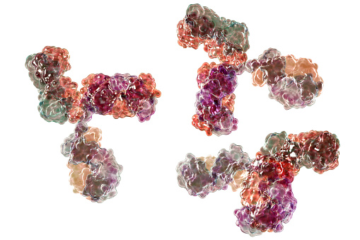 Modelo molecular de inmunoglobulina photo