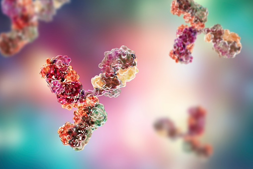 Modelo molecular de inmunoglobulina photo