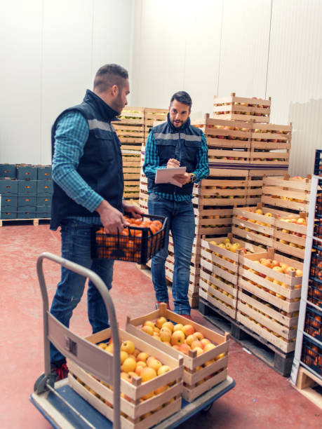 istock Fresh fruits and vegetables in warehouse 1133974803