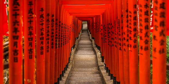 Traditional red wooden torii gates framing the steps to the historic Hei Shrine in the central Akasaka district of Tokyo, Japan’s vibrant capital city.