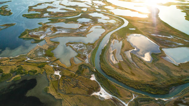 istock Unusual islands on a beautiful lake 1133975405