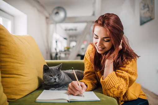 Domesticated cat looking at her owner taking notes in her notebook