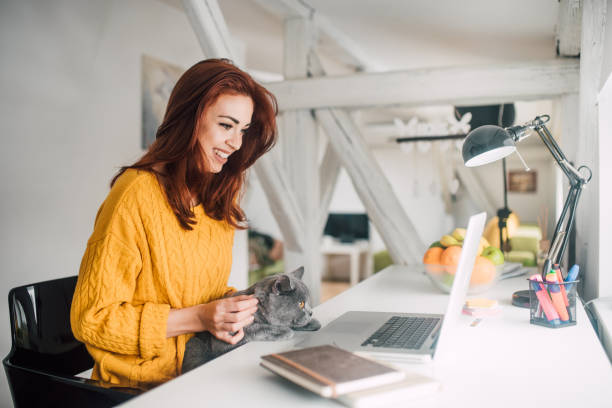 istock Girl using laptop and stroking a cat 1133977508