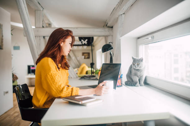 istock Girl at pet friendly office 1133977509