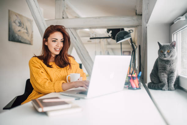istock Girl working at pet friendly office 1133977528
