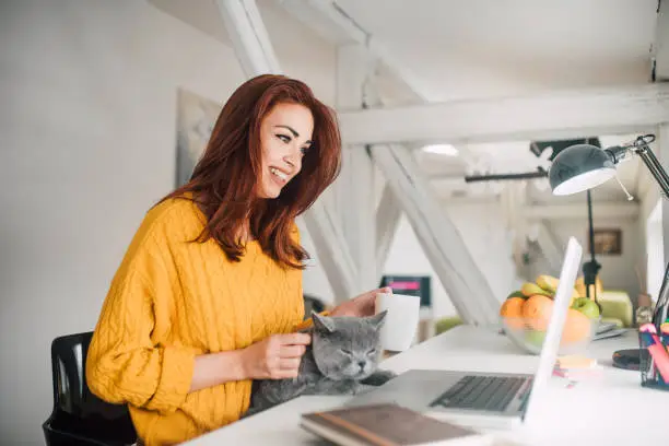 Photo of Woman electronic banking and petting a cat