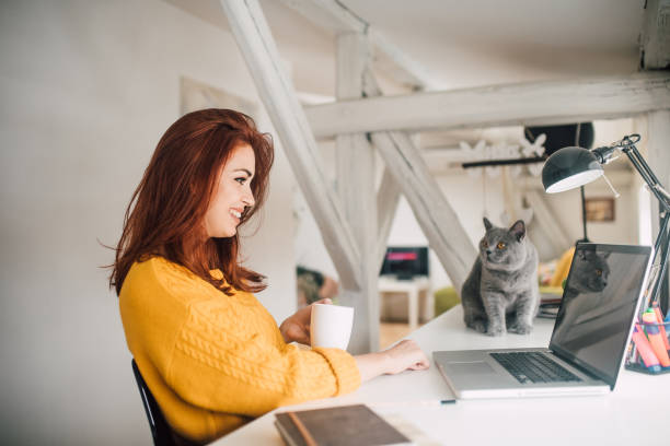 istock Business woman having cat at ofice 1133977536