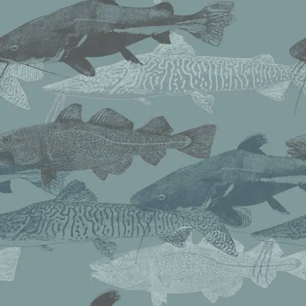 Vector illustration of Catfish Seamless Repeat Pattern