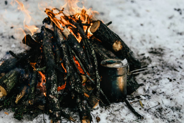 istock Camp fire in winter time, surrounded by snow against the background 1133983672